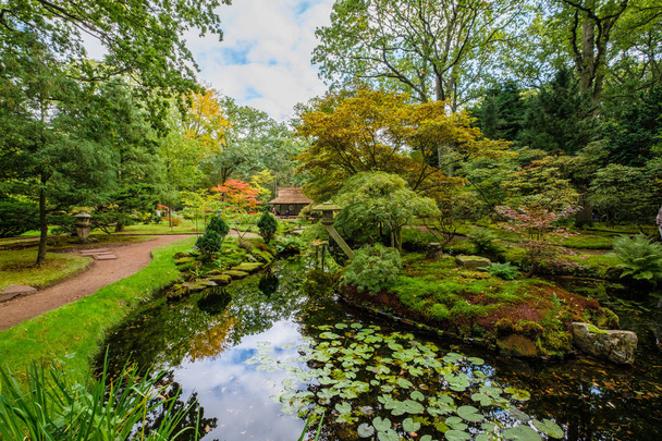 Japenese Garden in Clingendael, The Hague, Netherlands - Фото, изображение