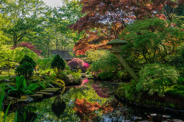 Мбаппе и мирный японский сад в Клингендале, Хаге, Нидерланды
. - Фото, изображение