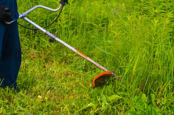 homem com um cortador de grama manual corta a grama
 - Foto, Imagem