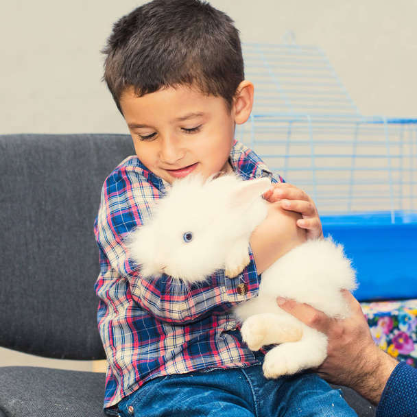 Vierjähriger Junge hält ein weißes Kaninchen in den Händen. - Foto, Bild