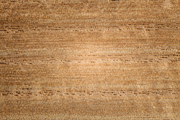 Texture of a wooden texture, closeup macro view on details.  - Фото, изображение