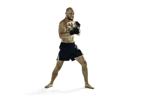 professional boxer boxing isolated on white studio background - Photo, image
