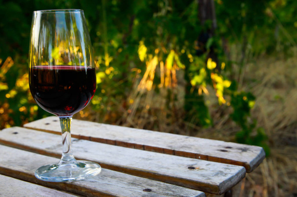 bicchiere di vino in vigna sulla vecchia sedia - Foto, Imagen