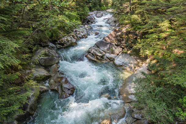 Clear water rushes along  on Denny Creek in Washington State. - Zdjęcie, obraz