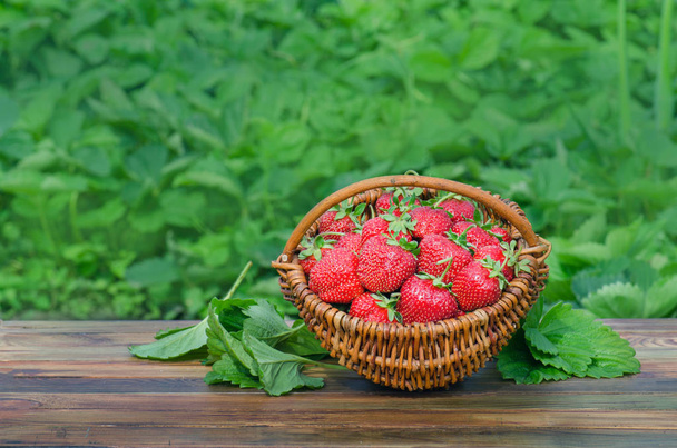 Strawberry on rustic wooden background. Small basket full of strawberries. Empty place for  text. - Photo, Image