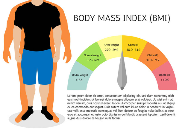 BMI of Body Mass Index Infographic Chart.Vector afbeelding. - Vector, afbeelding