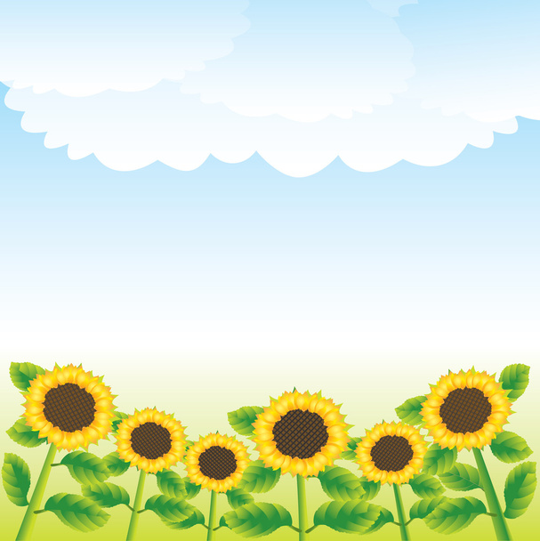 Sunflowers - Vector, afbeelding