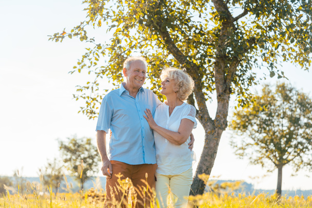 Romantický starší pár drží za ruce při chůzi společně v přírodě - Fotografie, Obrázek