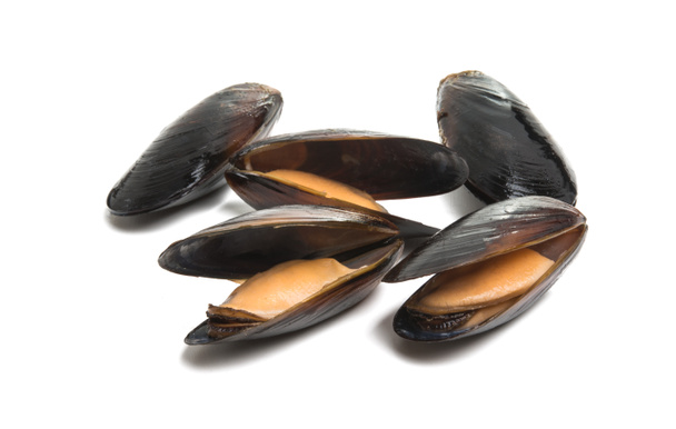 mussels isolated on white background - Photo, Image