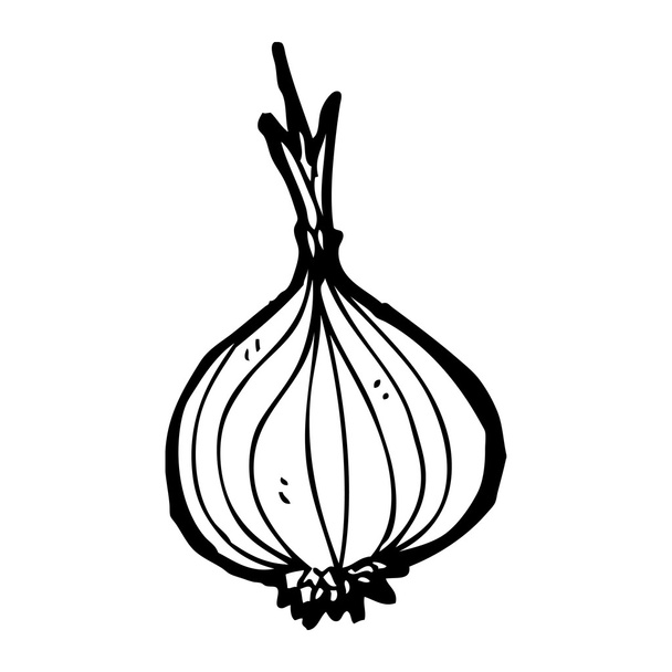 Onion - Vecteur, image