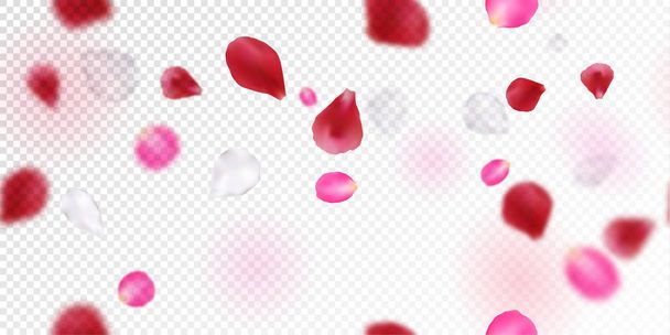 Csökkenő rózsaszirom vector háttér. 3D-s romantikus illusztráció - Vektor, kép