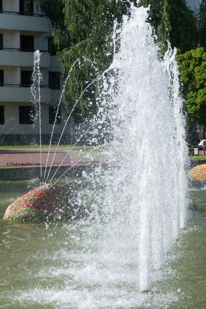 夏の官能的な風景です。公園の水の噴水 - 写真・画像