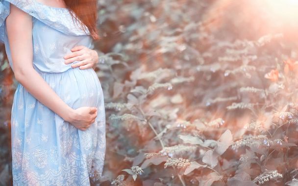 Fille enceinte dans une robe dans la nature
 - Photo, image