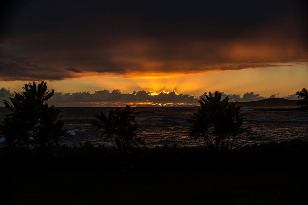 το ηλιοβασίλεμα στη Χαβάη, η χρυσή ώρα τελειώνει & τη σιλουέτα των φοινίκων είναι στην προβολή - Φωτογραφία, εικόνα