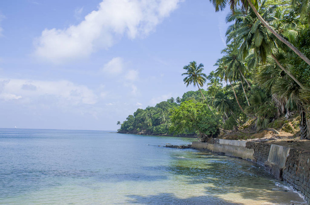 Island of Ross Andaman Sea beautiful landscape - Fotografie, Obrázek