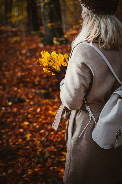 Women holding bouquet of yellow autumn maple leaves in her gloved hands. Ground covered with golden leaves lightend by warm evening light - Photo, Image
