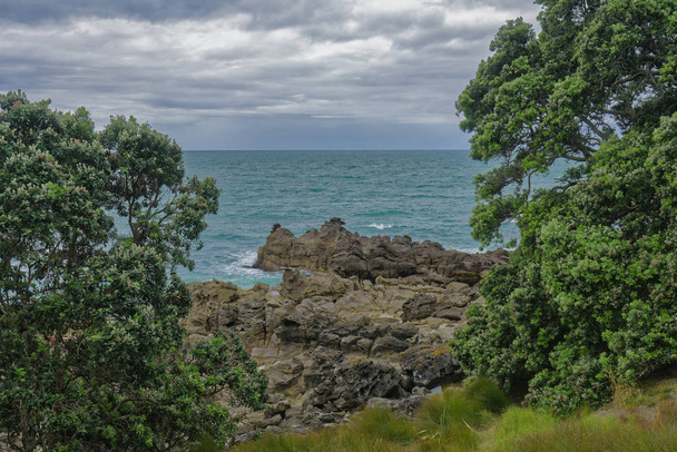 Tauranga, New Zealand - January 15, 2018:  Rock formations in Bay of Plenty - Foto, Imagem