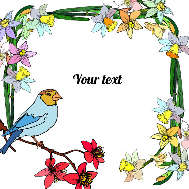 Frame of narcissus with bird with place for a text. Vector illustration - Vector, Image
