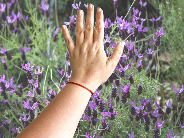 Dubbele blootstelling van één vrouw hand aanraken van een veld in het voorjaar - Foto, afbeelding