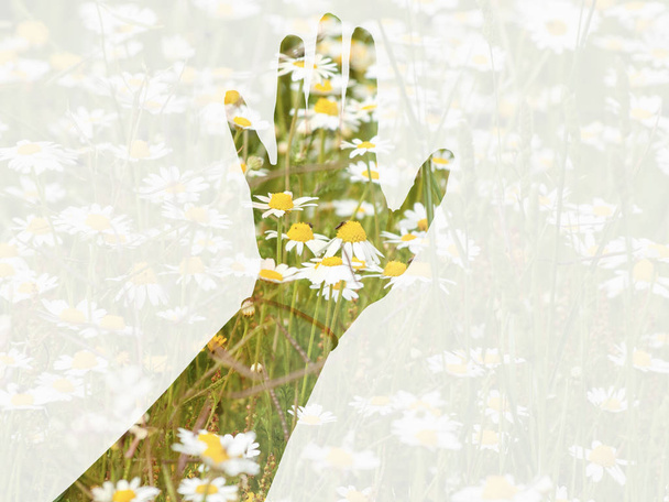 Double exposure of one woman hand touching a field in springtime - Photo, Image