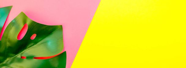 Tropicale giungla palma monstera foglie su sfondo di carta bicolore giallo brillante e rosa. Estate creativa pop art flat lay modello concettuale per il testo. Bandiera lunga larga
 - Foto, immagini