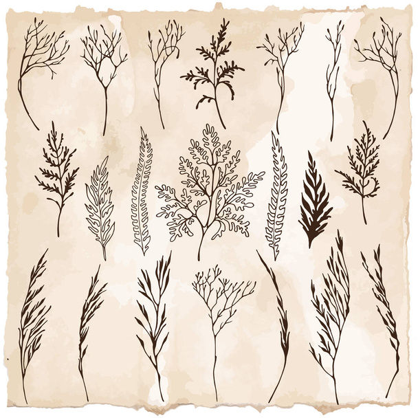 Vector set of different dark brown silhouettes of herbs on vintage sepia colore background - Vektör, Görsel