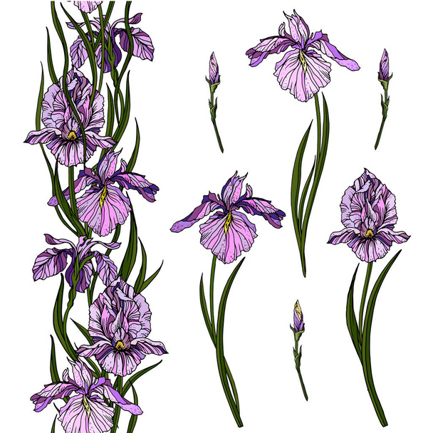 Realistic vector violet and blue iris flowers and endless linear floral ornament. Elements for summer design. - Vetor, Imagem