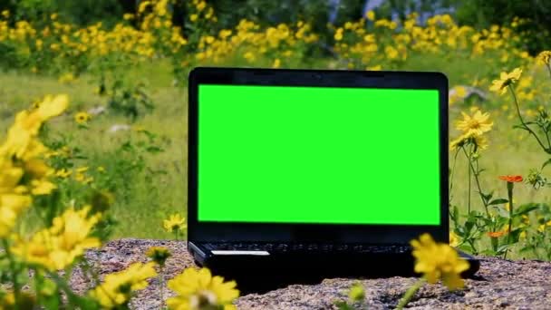 Green Screen Laptop Computer Outside. Close-Up. - Footage, Video