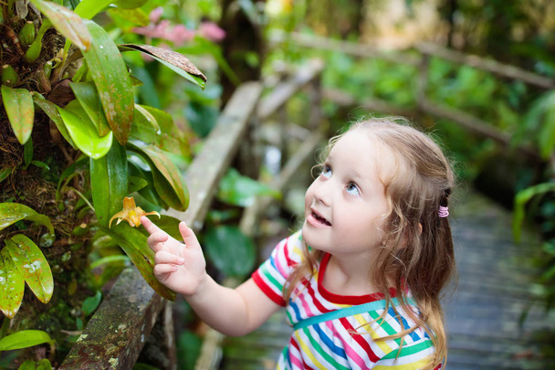 Маленькая девочка путешествует по джунглям. Ребенок смотрит на дикую орхидею в тропических лесах. Ребенок ходит в экзотическом лесу с цветами. Путешествуйте с детьми. Борнео джунгли и горы. Дети изучают природу
 - Фото, изображение