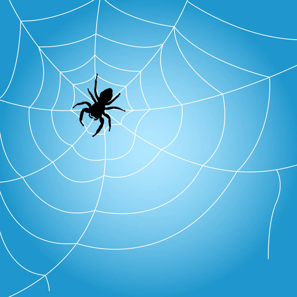 Örümcek web - örümcek ağı çerçevesinde oturur  - Vektör, Görsel
