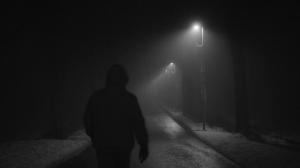 Mann, der nachts in einer Baumallee spazieren geht. schöne dunkle, schneebedeckte Winternacht.  - Filmmaterial, Video