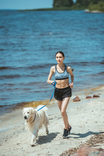 attractive asian sportswoman running with golden retriever on beach  - Photo, Image