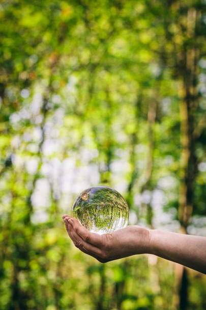 Glass sphere in female hand reflecting forest. - Photo, Image