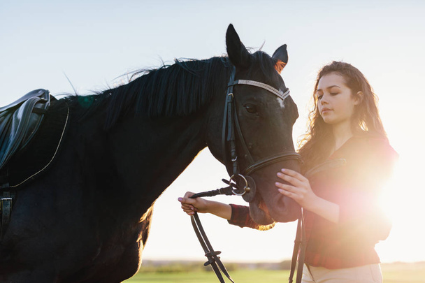 Черная лошадь и привлекательная молодая женщина, стоящая в поле
. - Фото, изображение
