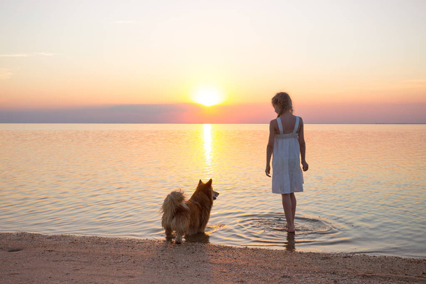 happy weekend by the sea - little girl is walking with a dog by the sea at sunset. Ukrainian landscape at the Sea of Azov, Ukrain - Foto, immagini
