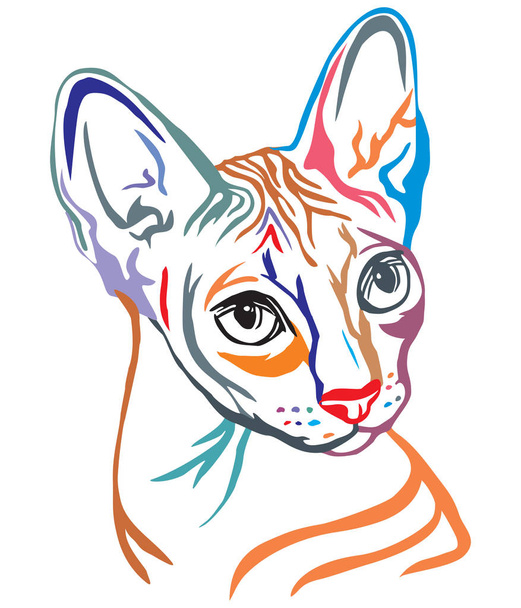 Sphynx Cat profili renkli dekoratif portre, kontur vektör beyaz arka plan üzerinde siyah renkli illüstrasyon izole. - Vektör, Görsel