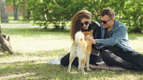Cute couple man and woman are patting beautiful dog and talking sitting on lawn in the park. Modern lifestyle, domestic animals and summertime concept. - Metraje, vídeo