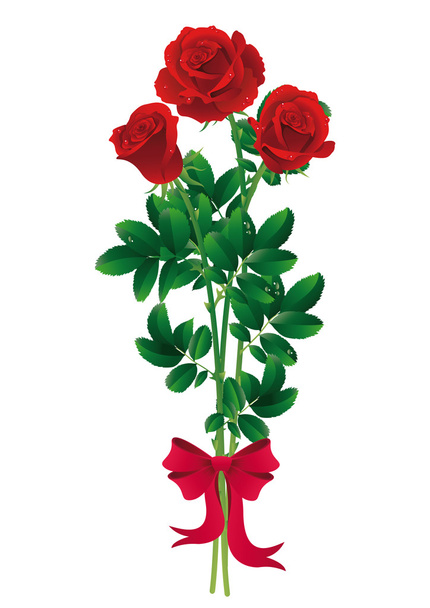Roses bouquet - Vektor, obrázek