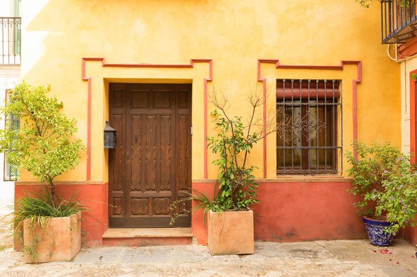 Front of a house in the Meditteranean style with plants - Foto, immagini
