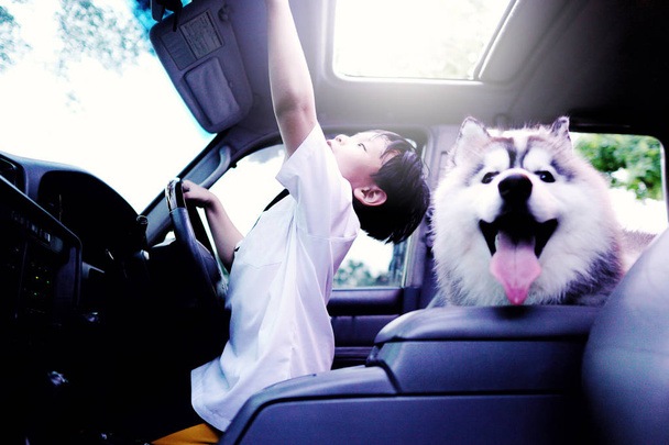 Asiático pequeño niño abrir el techo solar del coche con hermosa raza de perro husky siberiano y fondo de la naturaleza.Sonrisa y felicidad de lindo niño en el verano.Vacaciones, vacaciones, familia, concepto de viaje
. - Foto, imagen