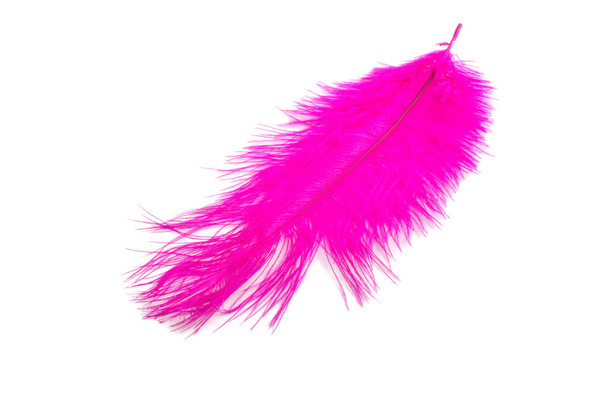 пушистые перья розового цвета изолированы на белом
 - Фото, изображение