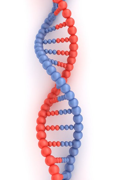 Código de DNA 3d conceito isolado em branco
 - Foto, Imagem