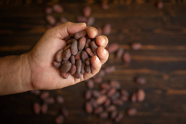 Frijoles de cacao en mano sobre fondo de madera natural viejo - Foto, Imagen