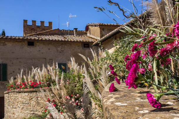 kukkia festivaali Monticchiello Toscanassa
 - Valokuva, kuva