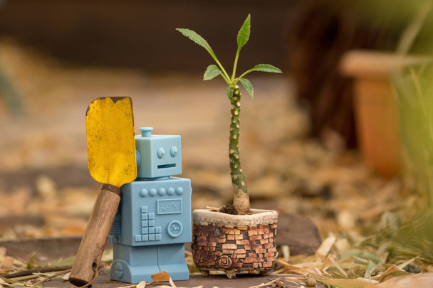 Голубая игрушка робота Ретро на естественном фоне
 - Фото, изображение