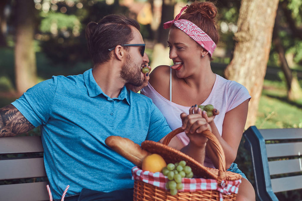 Happy middle age couple during dating, enjoying a picnic on a bench in the park. - Photo, Image