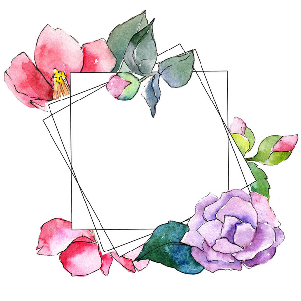 Różowa Kamelia. Botaniczny kwiat kwiatowy. Ramki granicznej ornament square. - Zdjęcie, obraz