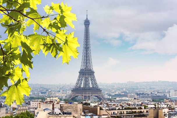 Serata morbida a Parigi, Torre Eiffel e la città vista panoramica di Parigi
 - Foto, immagini
