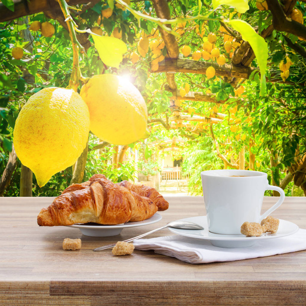 cup of coffee with croissant - Photo, image