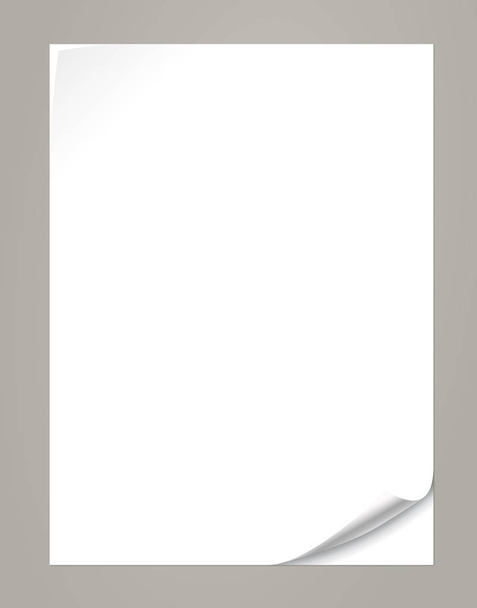 Λευκό ριγωτό χαρτί με κατσαρά γωνίες για το κείμενο ή το διαφημιστικό μήνυμα σε γκρίζο φόντο - Διάνυσμα, εικόνα